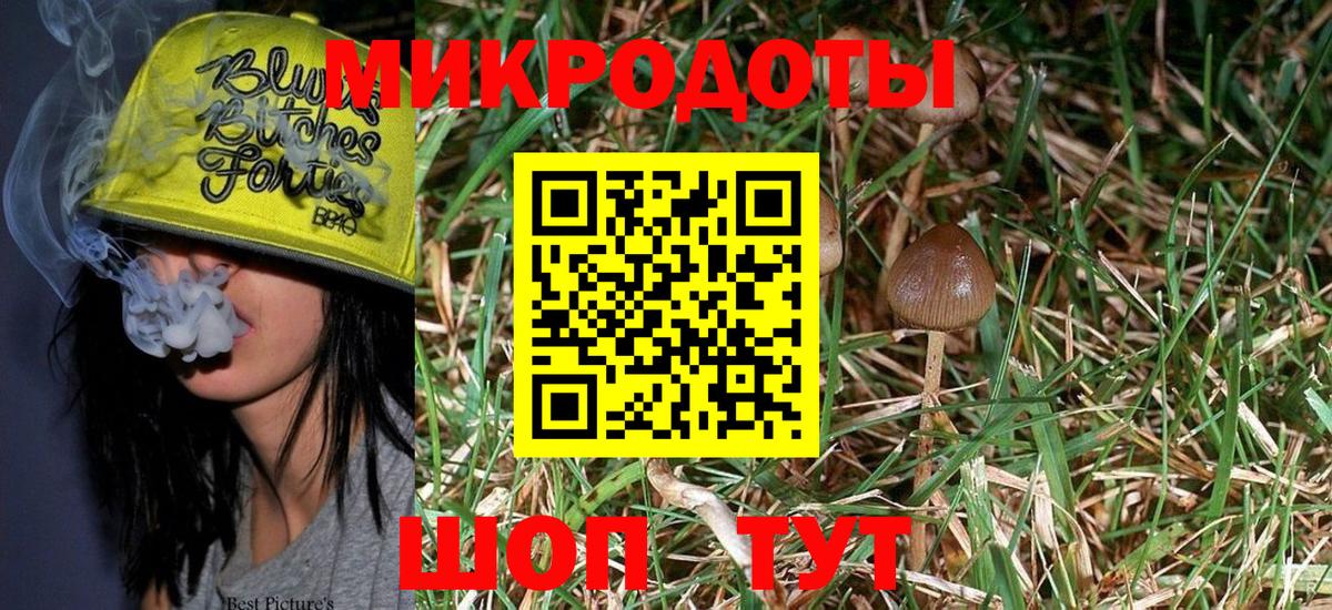 Тамбов  Псилоцибиновые грибы Psilocybe  Вход с VPN 