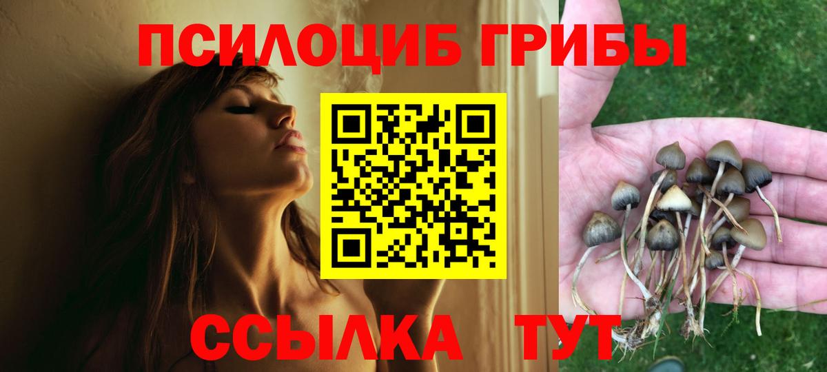 Псилоцибиновые грибы MAGIC MUSHROOMS Тамбов